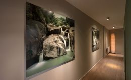 05_W+P_Helmut_Warnstedt_Innenarchitekt_Praxis im Norden_Ratekau.jpg