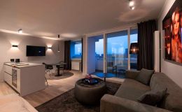 Details Küche / Wohnen